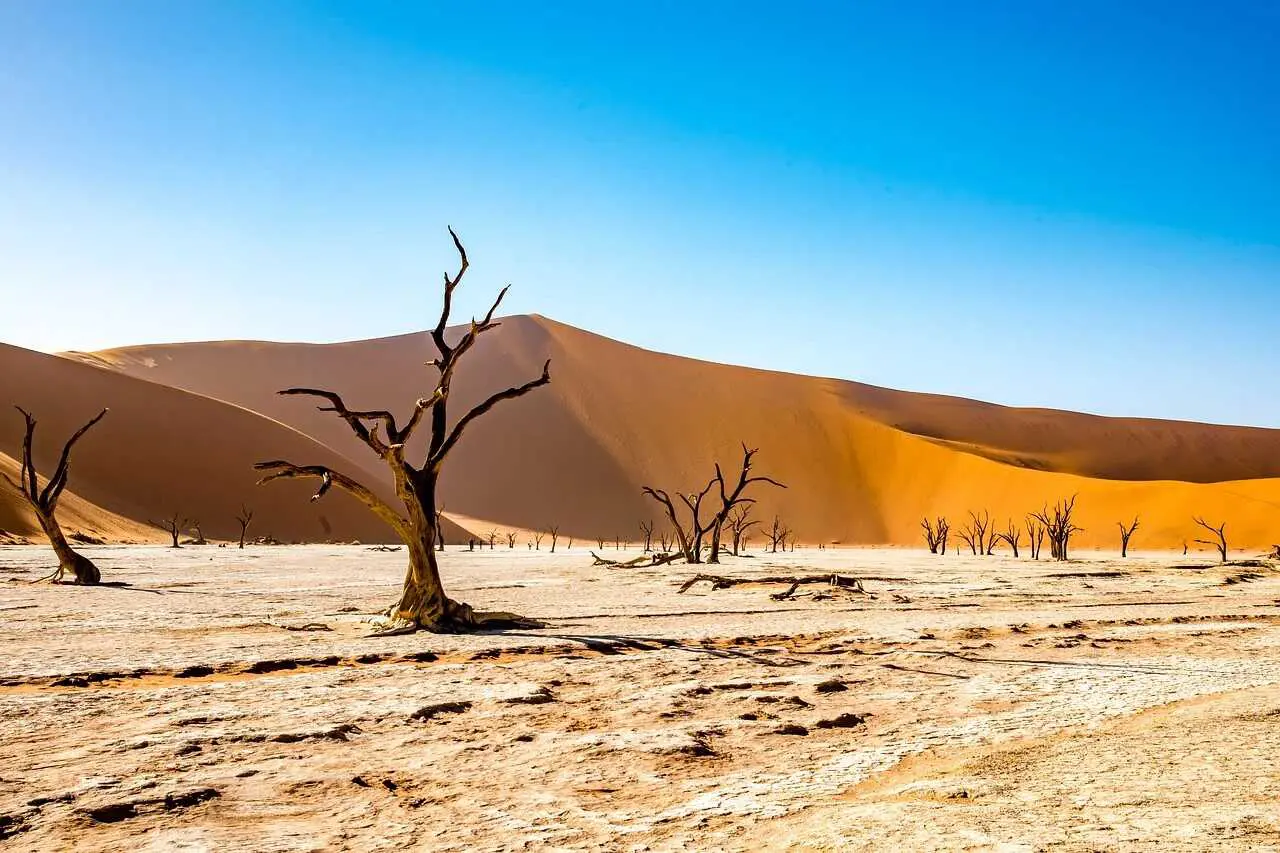 namibia-4790487_1280_optimized