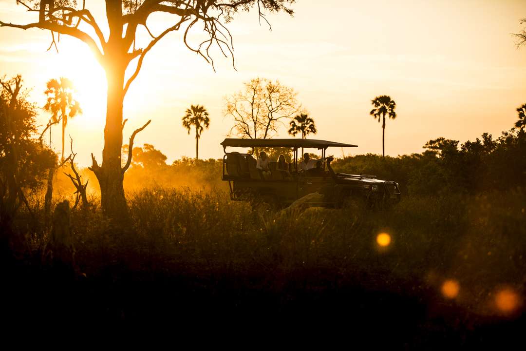 Morning Kruger Game Drive