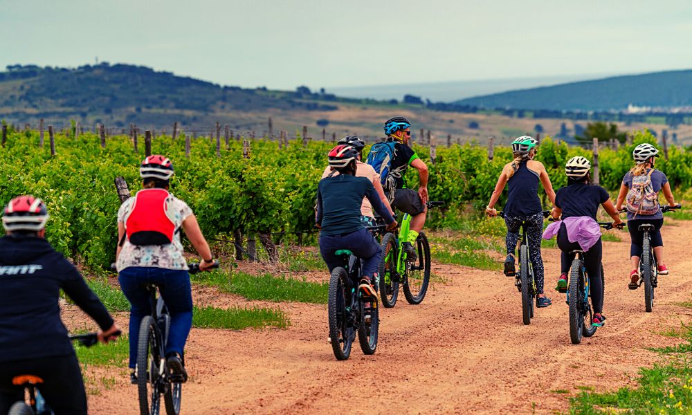 Electric Bike Winelands
